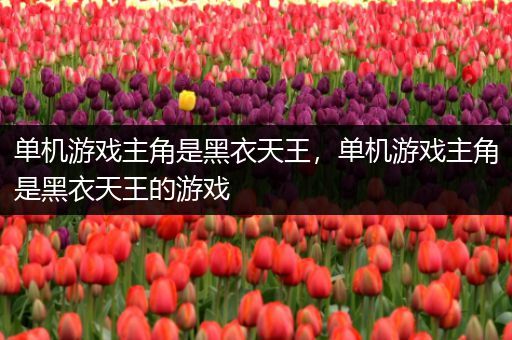 单机游戏主角是黑衣天王，单机游戏主角是黑衣天王的游戏