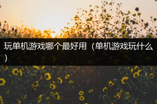 玩单机游戏哪个最好用（单机游戏玩什么）