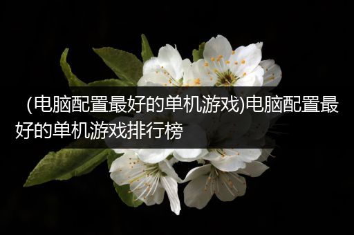 （电脑配置最好的单机游戏)电脑配置最好的单机游戏排行榜