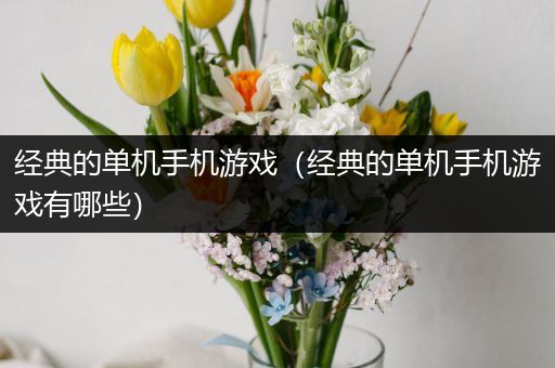 经典的单机手机游戏（经典的单机手机游戏有哪些）