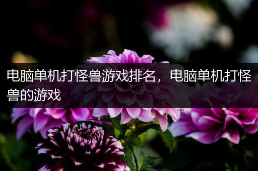 电脑单机打怪兽游戏排名，电脑单机打怪兽的游戏