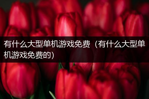 有什么大型单机游戏免费（有什么大型单机游戏免费的）