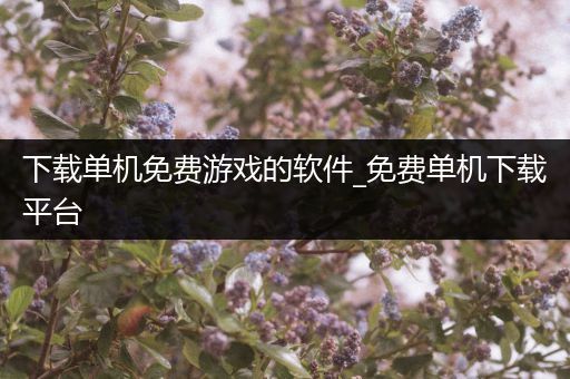下载单机免费游戏的软件_免费单机下载平台