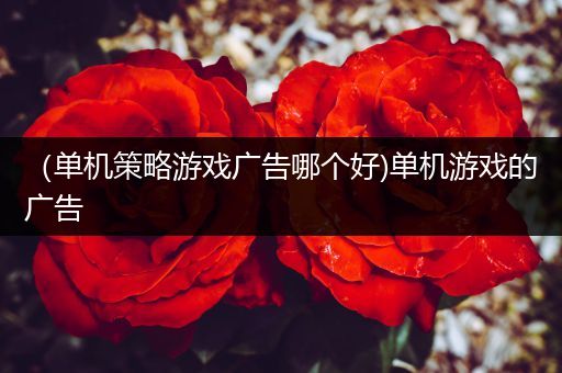 （单机策略游戏广告哪个好)单机游戏的广告