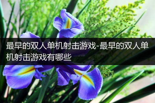 最早的双人单机射击游戏-最早的双人单机射击游戏有哪些