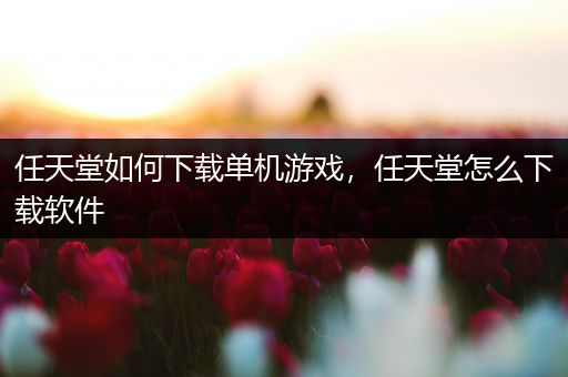 任天堂如何下载单机游戏，任天堂怎么下载软件