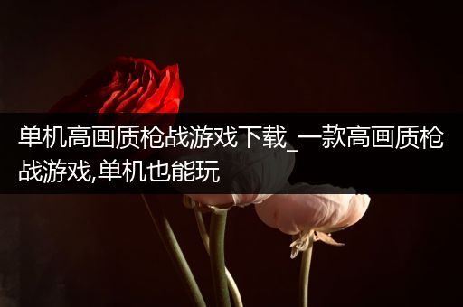 单机高画质枪战游戏下载_一款高画质枪战游戏,单机也能玩
