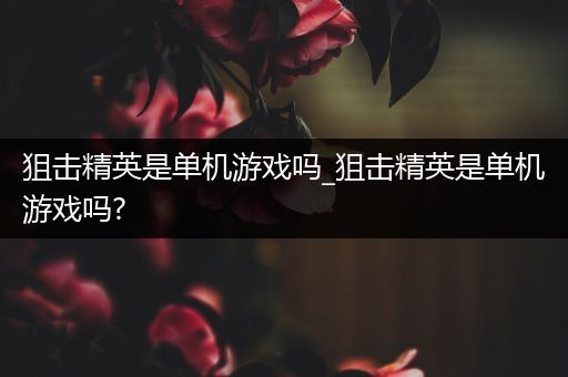狙击精英是单机游戏吗_狙击精英是单机游戏吗?