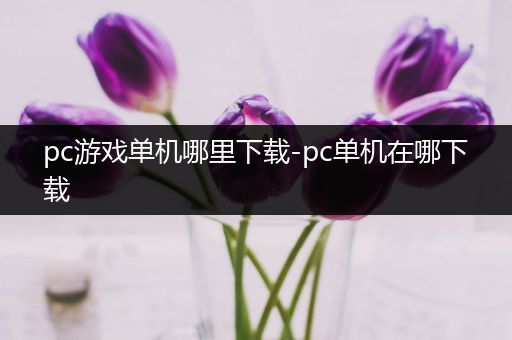 pc游戏单机哪里下载-pc单机在哪下载