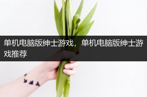 单机电脑版绅士游戏，单机电脑版绅士游戏推荐