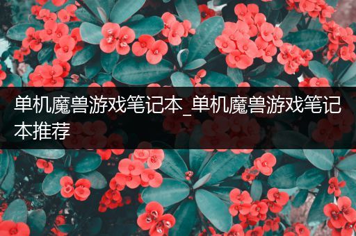 单机魔兽游戏笔记本_单机魔兽游戏笔记本推荐