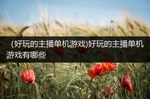 （好玩的主播单机游戏)好玩的主播单机游戏有哪些