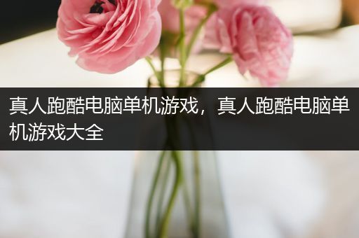 真人跑酷电脑单机游戏，真人跑酷电脑单机游戏大全