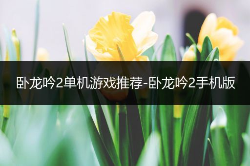 卧龙吟2单机游戏推荐-卧龙吟2手机版