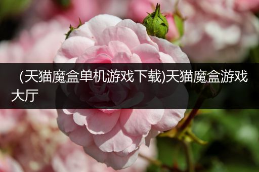 （天猫魔盒单机游戏下载)天猫魔盒游戏大厅
