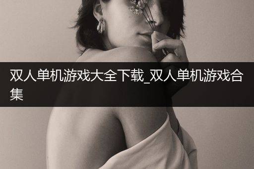 双人单机游戏大全下载_双人单机游戏合集