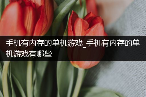 手机有内存的单机游戏_手机有内存的单机游戏有哪些