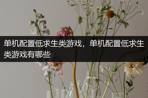单机配置低求生类游戏，单机配置低求生类游戏有哪些