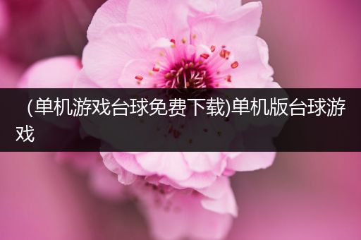 （单机游戏台球免费下载)单机版台球游戏