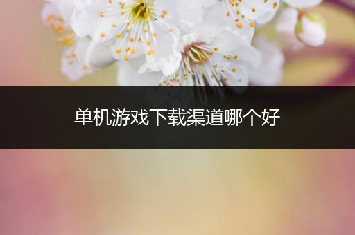 单机游戏下载渠道哪个好