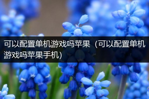 可以配置单机游戏吗苹果（可以配置单机游戏吗苹果手机）
