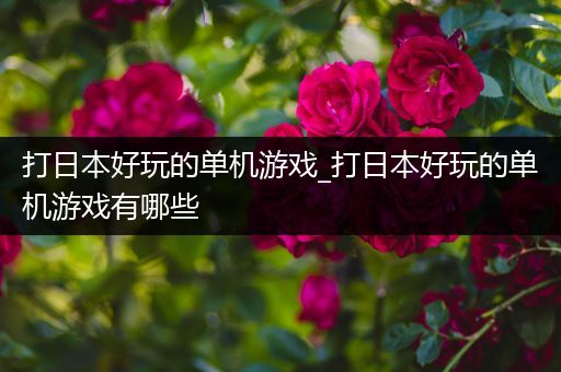打日本好玩的单机游戏_打日本好玩的单机游戏有哪些