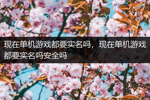 现在单机游戏都要实名吗，现在单机游戏都要实名吗安全吗