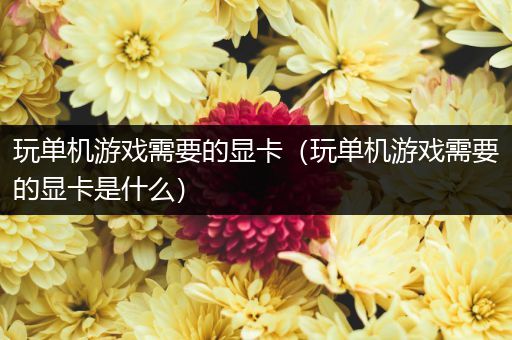 玩单机游戏需要的显卡（玩单机游戏需要的显卡是什么）