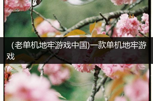 （老单机地牢游戏中国)一款单机地牢游戏
