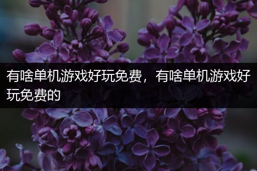 有啥单机游戏好玩免费，有啥单机游戏好玩免费的