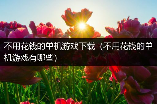 不用花钱的单机游戏下载（不用花钱的单机游戏有哪些）