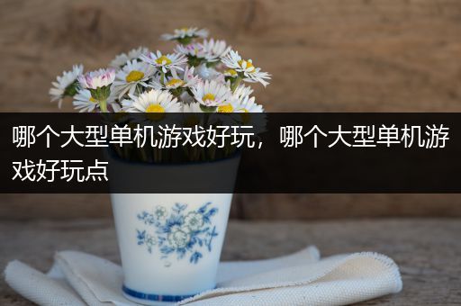 哪个大型单机游戏好玩，哪个大型单机游戏好玩点