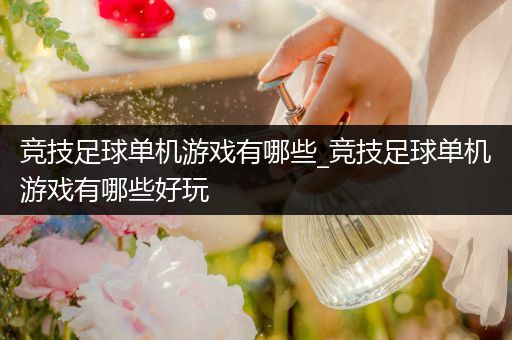 竞技足球单机游戏有哪些_竞技足球单机游戏有哪些好玩