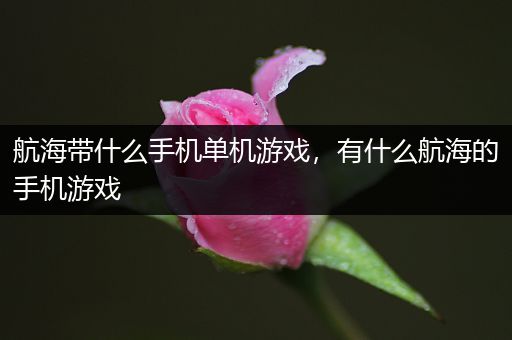 航海带什么手机单机游戏，有什么航海的手机游戏