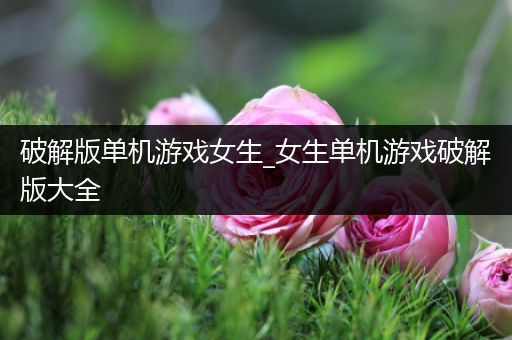 破解版单机游戏女生_女生单机游戏破解版大全