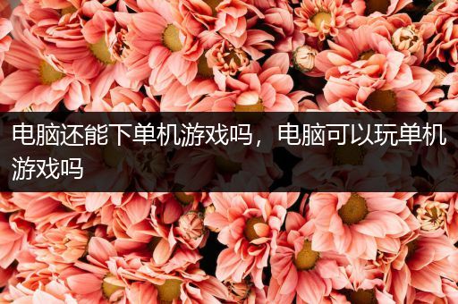 电脑还能下单机游戏吗，电脑可以玩单机游戏吗