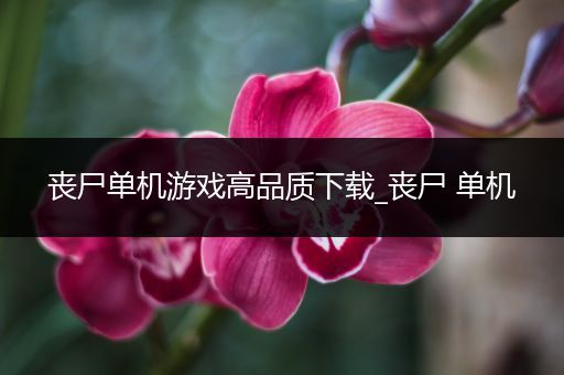丧尸单机游戏高品质下载_丧尸 单机