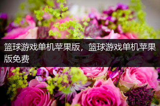 篮球游戏单机苹果版，篮球游戏单机苹果版免费