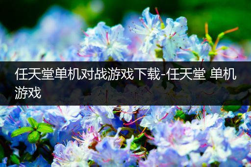 任天堂单机对战游戏下载-任天堂 单机游戏