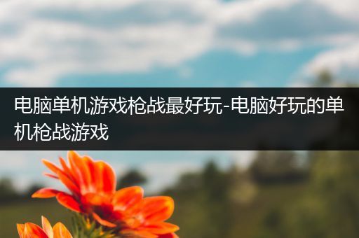 电脑单机游戏枪战最好玩-电脑好玩的单机枪战游戏