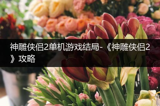 神雕侠侣2单机游戏结局-《神雕侠侣2》攻略