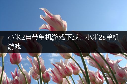 小米2自带单机游戏下载，小米2s单机游戏