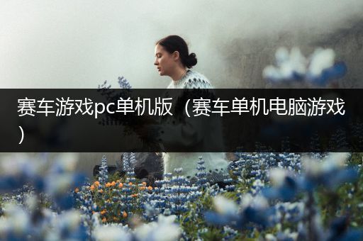 赛车游戏pc单机版（赛车单机电脑游戏）