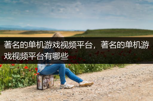 著名的单机游戏视频平台，著名的单机游戏视频平台有哪些