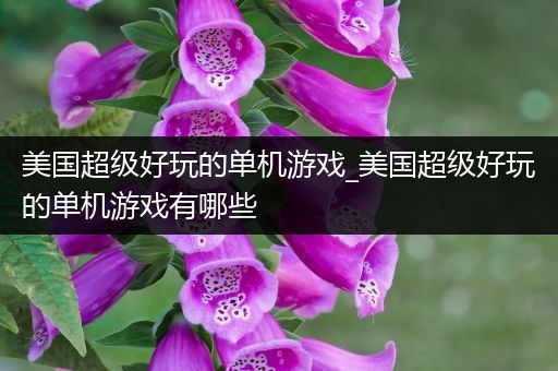 美国超级好玩的单机游戏_美国超级好玩的单机游戏有哪些