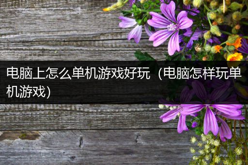 电脑上怎么单机游戏好玩（电脑怎样玩单机游戏）