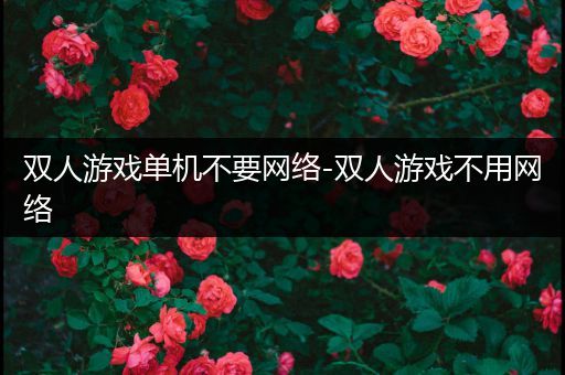 双人游戏单机不要网络-双人游戏不用网络