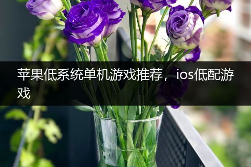 苹果低系统单机游戏推荐，ios低配游戏