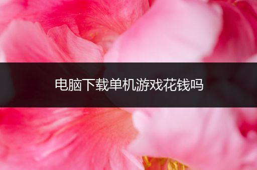 电脑下载单机游戏花钱吗