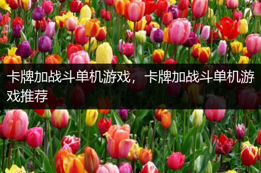 卡牌加战斗单机游戏，卡牌加战斗单机游戏推荐